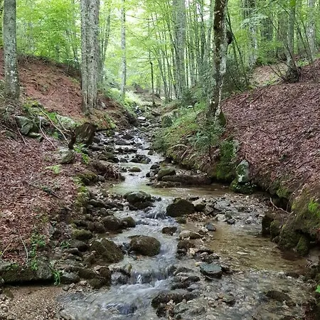 Baita Tra I Pini A Camigliatello